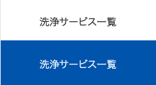 洗浄サービス一覧